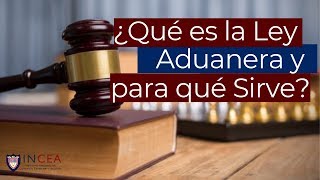 ¿Qué es la Ley Aduanera y para qué Sirve [upl. by Aluin471]