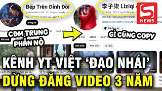 Netizen xứ Trung tố Youtuber Việt bắt chước Lý Tử Thất cả việc quotngừng đăng video trong 3 nămquot [upl. by Theresina]