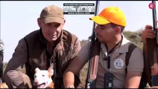 CAZANDO CONEJOS CON PODENCOS EN EL BERROCAL novatoma canal extremadura [upl. by Philbin309]