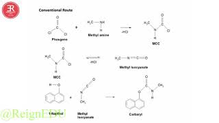 Synthesis of Carbaryl   2018  August   ReignEdu NCERTSeries 10Class 19 [upl. by Shelman]