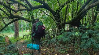 SOLO CAMPING IN HEAVY RAIN at NIGHT  RELAXING CAMPING in THE RAIN  NATURE SOUND [upl. by Yrennalf896]