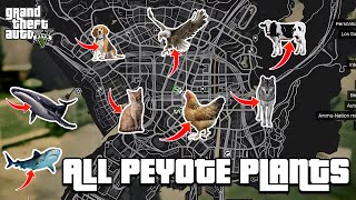 GTA 5  All 27 Peyote Plants Location Guide  Play as an animal [upl. by Reece]