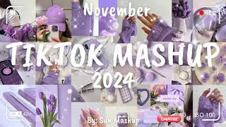 Tiktok Mashup November 💜2024💜 Not Clean [upl. by Doria]