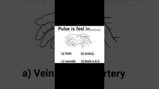 Pulse is feel in MEDICAL  PARAMEDICAL  QUIZ  biology medical paramedical radiology [upl. by Anileva429]