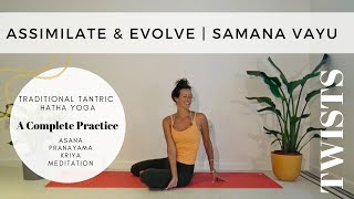 Traditional Tantric Hatha Yoga Complete Practice  Assimilate and Evolve  Samana Vayu  TWIST [upl. by Tipton688]