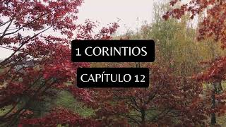 1 Corintios Capítulo 12 [upl. by Alroy]