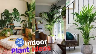 30 Best Indoor Plant Ideas 🌳🌲🌴 Indoor Plants Decoration  Indoor Plants Without Sunlight [upl. by Voltmer]