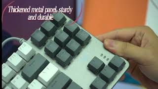 Aula F3287 Wired Gaming Mechanical Keyboard  Best Selling Gaming Keyboard in India [upl. by Seraphim]