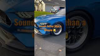 Best Sounding Supercharger 🫣 centrifugal supercharged whipple [upl. by Ssidnac]