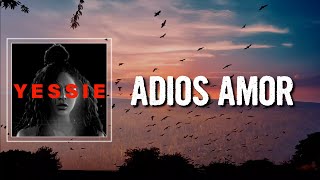 ADIOS AMOR Lyrics  Jessie Reyez [upl. by Sternlight70]