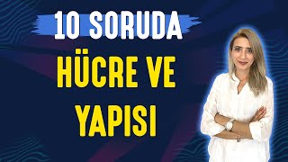 📌10 SORUDA l HÜCRE VE YAPISI  TYT 9SINIF l Seda Hoca Biyoloji 🤗 [upl. by Rockel]