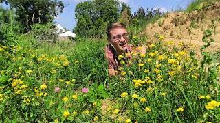 Raupenfutterpflanzen für Schmetterlinge die in KEINEM Garten fehlen dürfen [upl. by Rind]