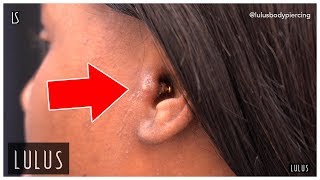 Wow This Tragus Piercing Is BAD [upl. by Atirahs]