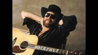 Hank Williams Jr Iv Got Rights [upl. by Dagall75]