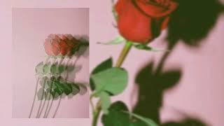 Butrint Imeri  Dujem  slowed🥀🖤 [upl. by Falcone]