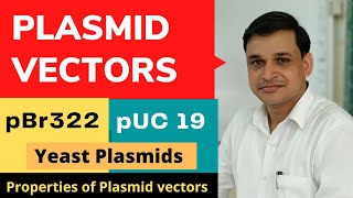 What are plasmid vectors  pBR322 pUC 19 and yeast plasmid vectors [upl. by Arst317]