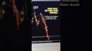 EA FAKE GOLD MINER profit 100 only in 10 days goldminer forex mt4 trading forextrading [upl. by Groscr]