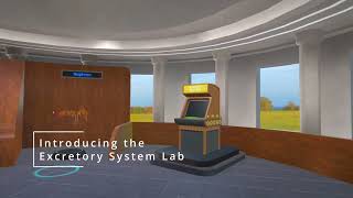 Excretory System  VR Learning [upl. by Auehsoj562]