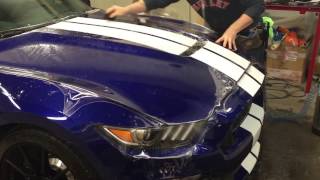 Mustang GT350 Paint Protection Film Part 1 [upl. by Enyrehtak]