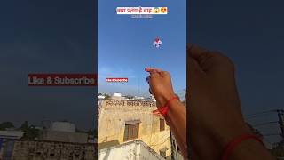 Kite Fighting Festival Rooftop viralvideo patang harshkiteofficial kiteflying kitelover shorts [upl. by Intyrb]