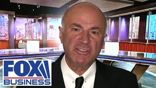 HUGE MISTAKE Kevin OLeary warns this Harris policy will have a horrific outcome [upl. by Athena2]