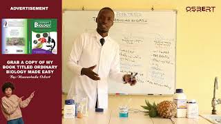 FOOD TESTS PRACTICALS Episode 3 Test For Reducing Sugars [upl. by Downey]