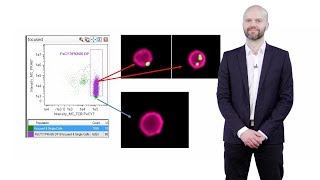 Imaging Flow Cytometry A Brief Overview  Andrew Filby Newcastle U [upl. by Eineg488]