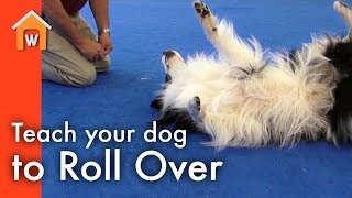 Teach Your Dog to Roll Over [upl. by Nad]