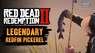 Red Dead Redemption 2 Legendary Fish  Legendary Redfin Pickerel [upl. by Nrevel192]