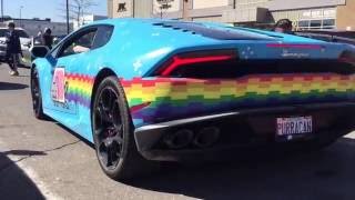 Deadmau5 Lamborghini Purrican revs [upl. by Narmi]