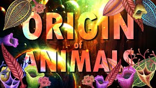 ORIGIN of ANIMALS [upl. by Kris213]