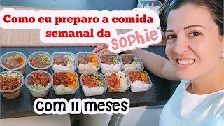 Como preparo a alimentação semanal da minha bebê de 11 Meses [upl. by Ninnahc]