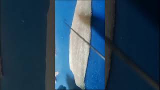 How to make Sea bass fillet 🐟CURRENT KAMBAM [upl. by Lobiv]