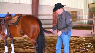 Braiding A Tail  Tom McCutcheon [upl. by Wedurn]