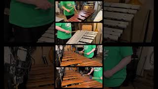 House from Zelda Ocarina of Time for percussion quartet [upl. by Burkhart]