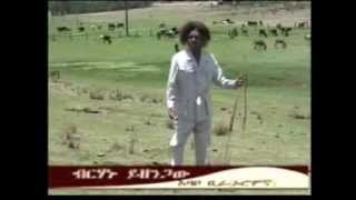 Oromo Music Birhanu Yizengaw  Ababo Birraa [upl. by Gahl]