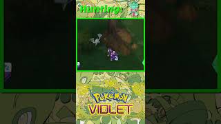 Pokemon Violet Shiny 0753 Fomantis shinypokemon [upl. by Aholla513]