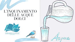 Linquinamento delle Acque Dolci [upl. by Curnin]