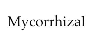 How to Pronounce Mycorrhizal [upl. by Horton]