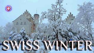 SNOWFALL in SWISS Village ✨ Castle amp Forest Winters fairytale  Bürglen Thurgau 4K Walking tour [upl. by Robyn]