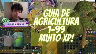 GUIA DE AGRICULTURA 199  MUITO XP  RUNESCAPE [upl. by Bluma]