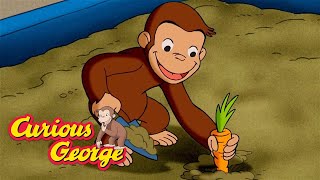 The Disappearing Vegetables 🐵 Curious George 🐵 Kids Cartoon 🐵 Kids Movies [upl. by Dranel]