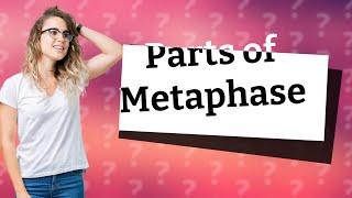 What are the parts of the metaphase [upl. by Corene418]