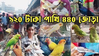 কাঠ পোড়া রোদে হাসনাবাদ পাখির হাট  Cockatiel baby price  Bird market2024  Hasnabad pakhir hat [upl. by Vyner]