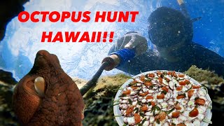 Diving for OCTOPUS in HAWAII  Catch Cook and epic gyotaku Creation [upl. by Nnaik601]