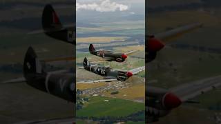 Flying our P40 off the wing of “Grey Nurse” the Temora Aviation Museum Spitfire pilot flying [upl. by Ado]