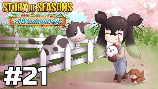 STORY OF SEASONS A Wonderful Life  pt 21 Havent played in over a month where were we 16 [upl. by Itaws]