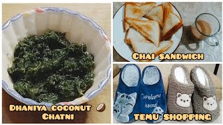 Aaj main nay try ki dhaniya coconut 🥥Chatni 😋Temu shopping 🛍 Saira vlogs [upl. by Ivek]