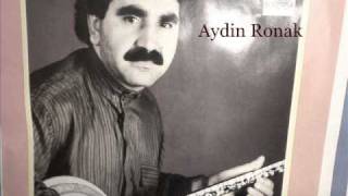 Aydin Ronak Birindarim [upl. by Shaper]