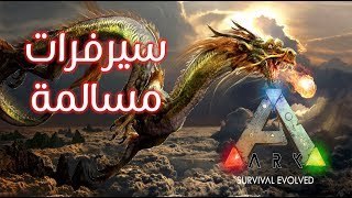 الفرق بين سيرفرات PvP و PvE  ارك ARK Survival Evolved [upl. by Huberman811]